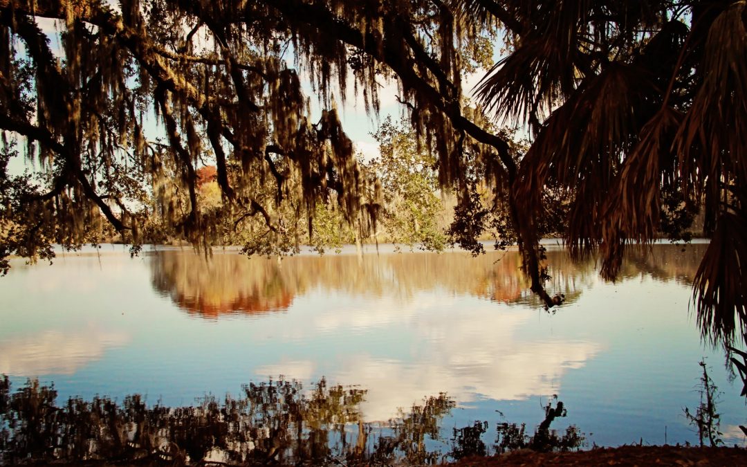 Lake in Gainesville, Florida